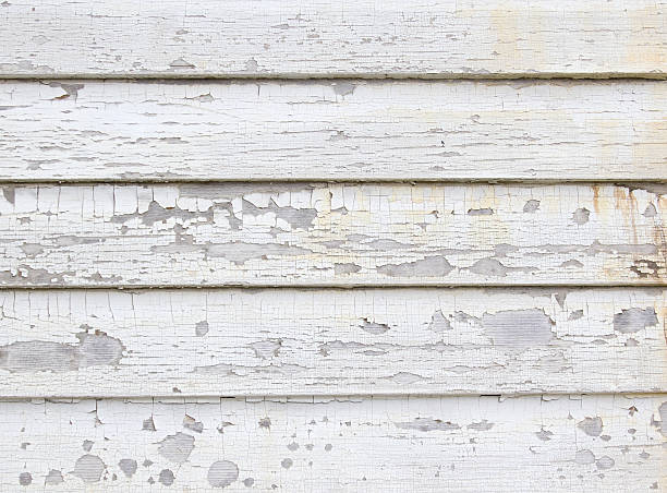 Best Carpet Removal and Disposal  in South Whitley, IN