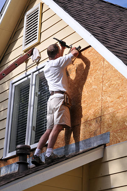 Best Dumpster Rental Services  in South Whitley, IN